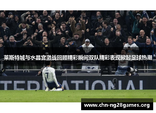 莱斯特城与水晶宫激战回顾精彩瞬间双队精彩表现掀起足球热潮 莱斯特城与水晶宫激战回顾精彩瞬间双队精彩表现掀起足球热潮
